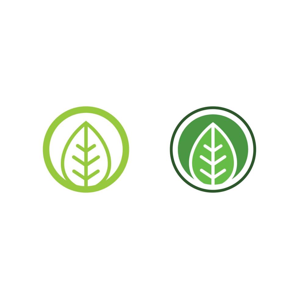 Tree leaf vector and green logo design friendly concept