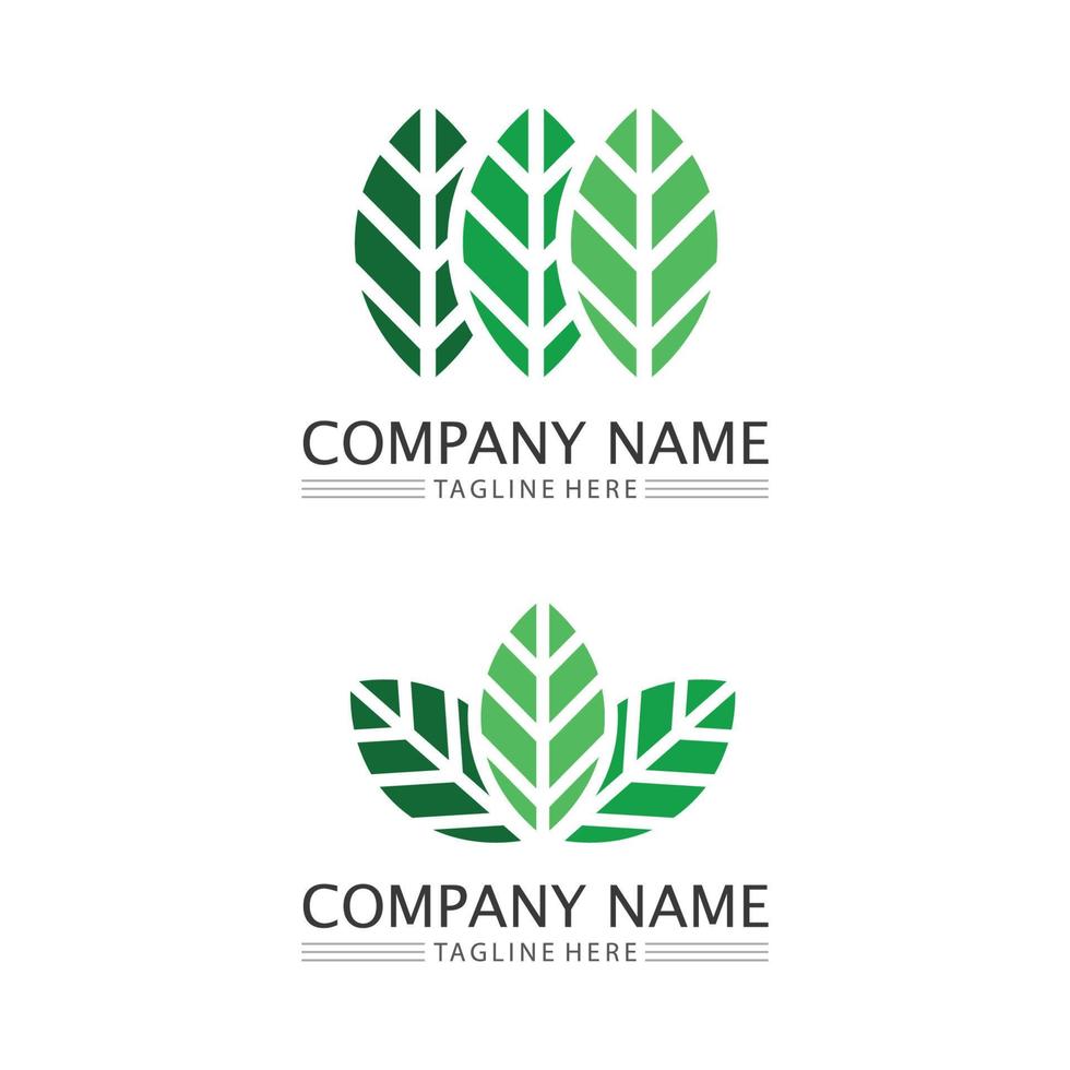 Tree leaf vector and green logo design friendly concept