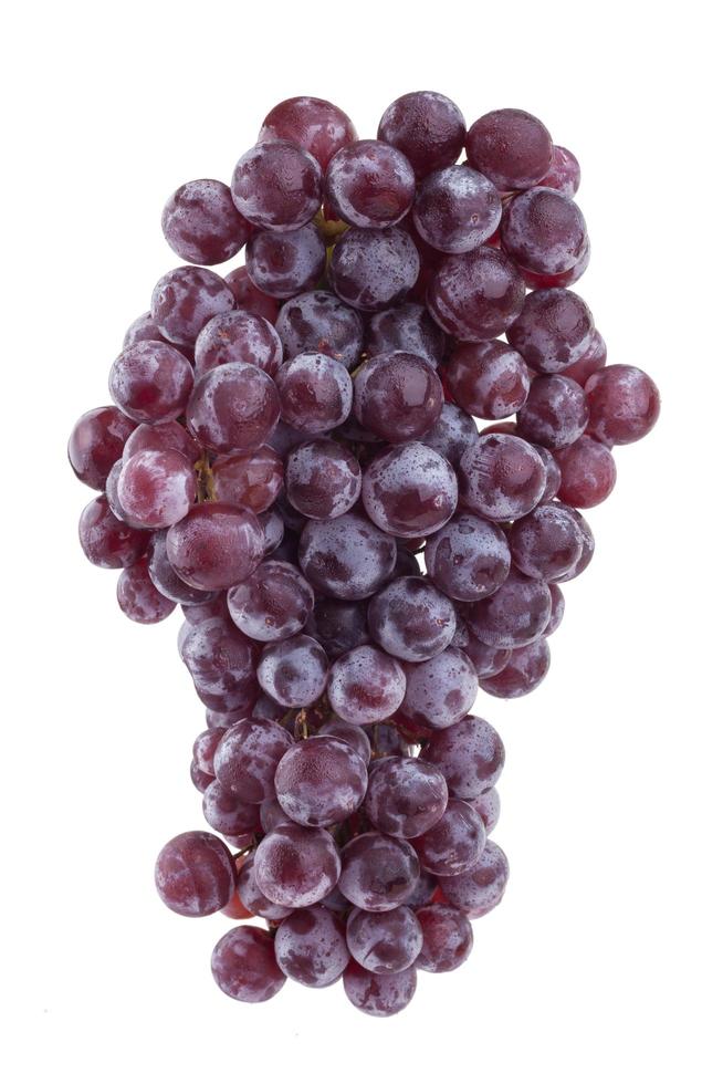 uva roja fresca sobre fondo blanco foto