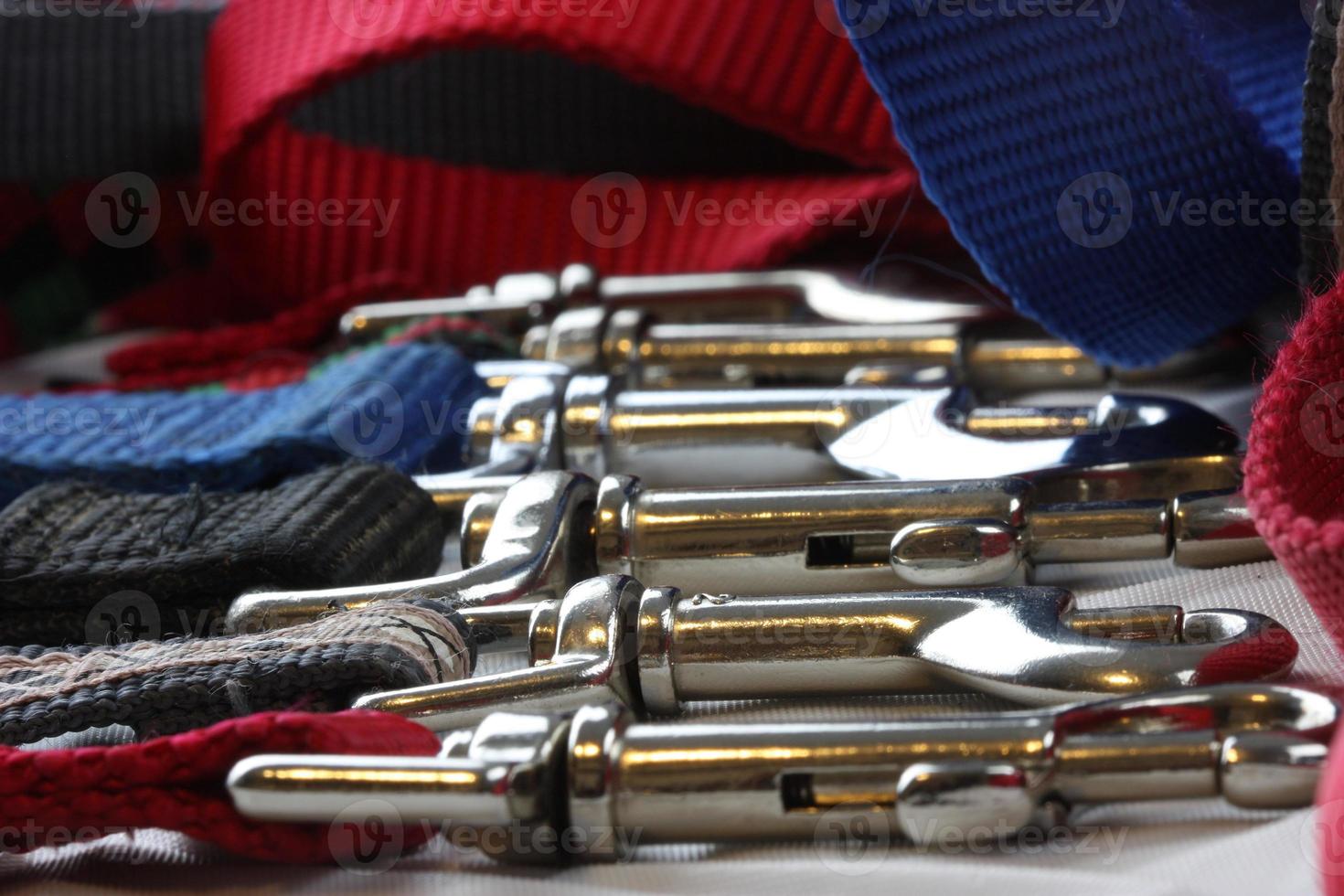 A group of shiny dog leashes photo