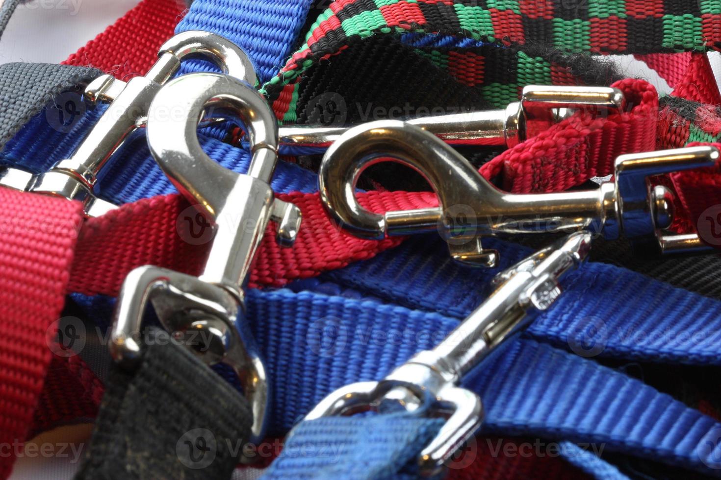 A group of dog leashes photo