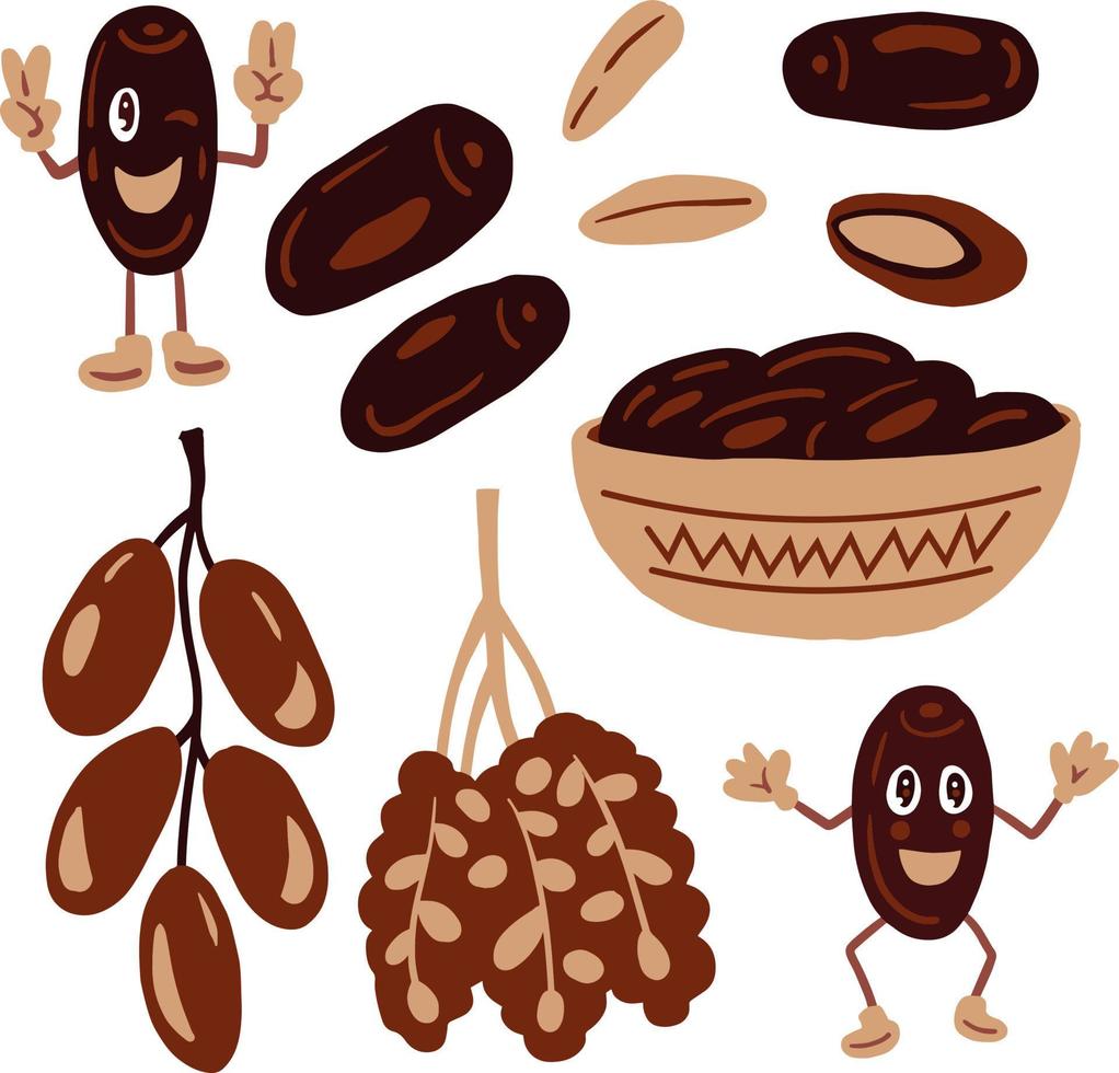 Date dried fruit cartoon set vector