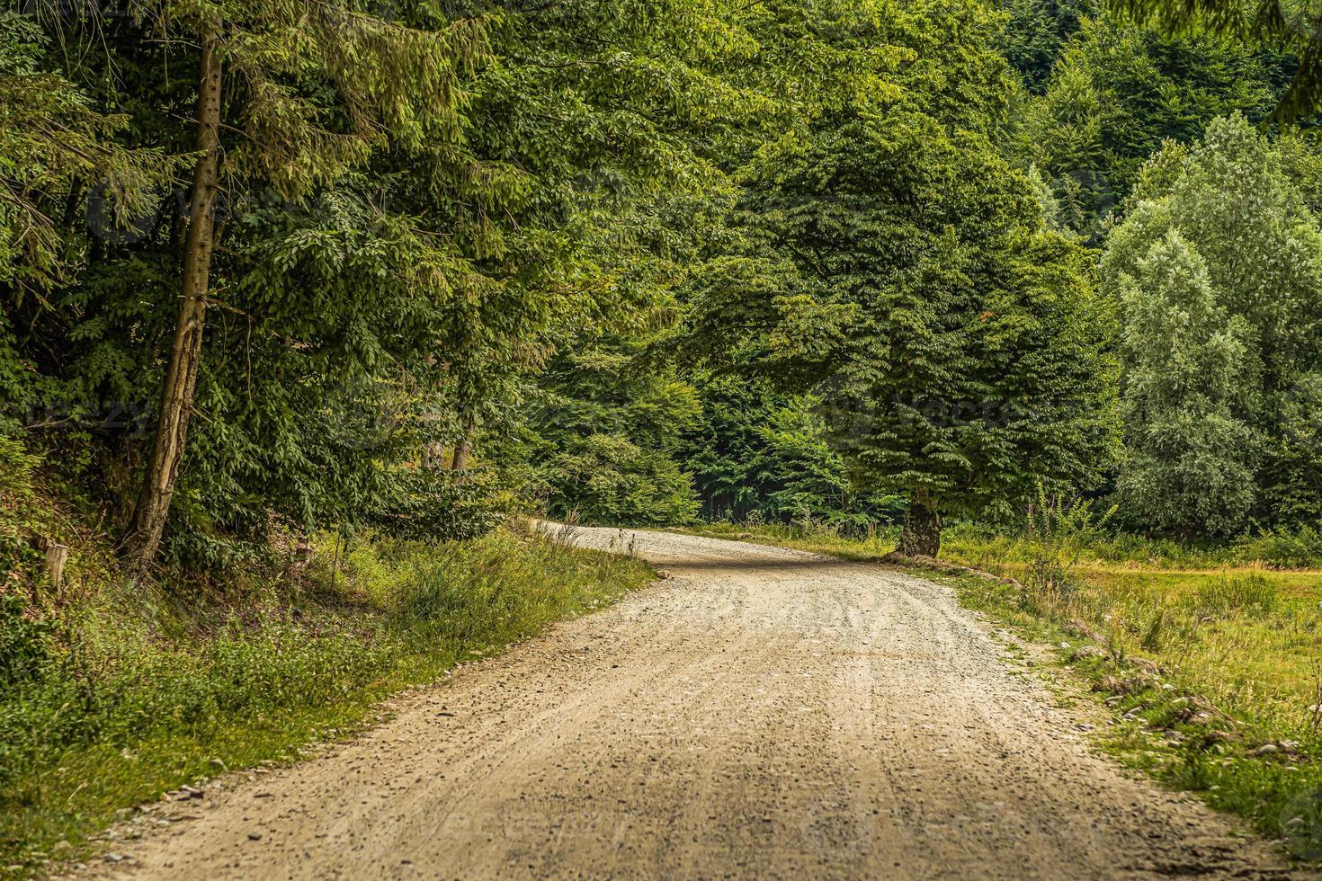 Road to the Mountains Romania photo