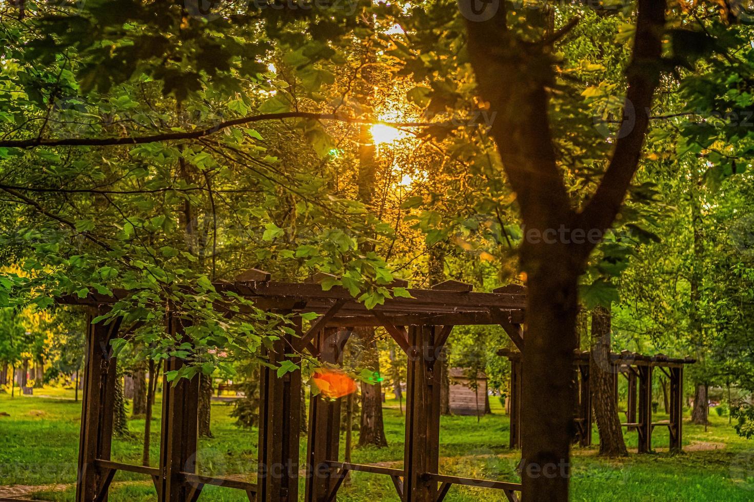 Sunshine or Sunset in the park Golden hour photo