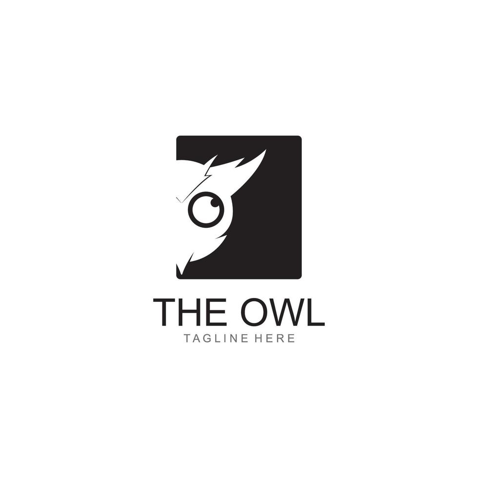 Owl logo template vector