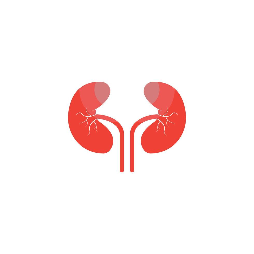 kidney logo vector