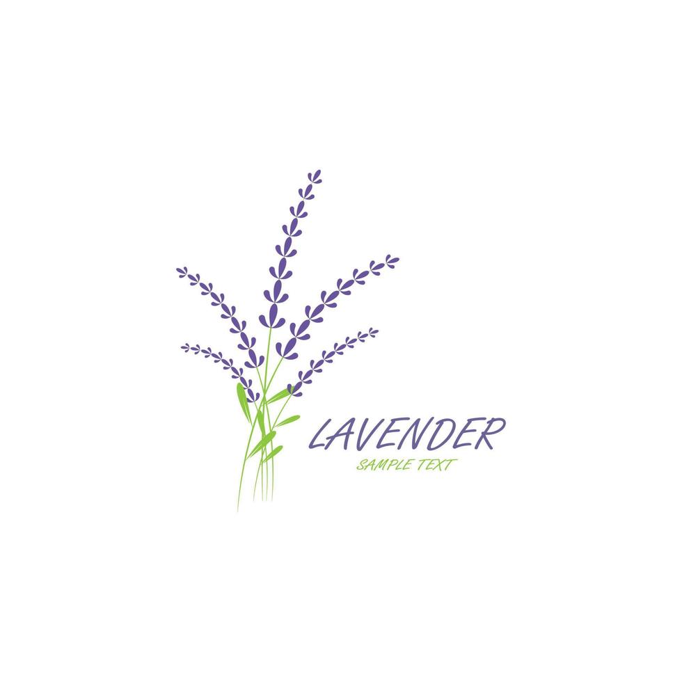 vector de logotipo de flor de lavanda fresca