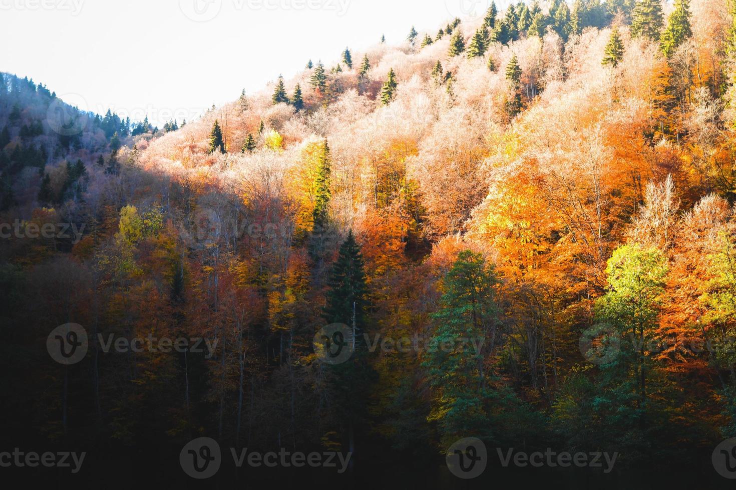 vista aérea del lago bateti colorido panorama del bosque otoñal y reflejos del follaje de los árboles otoñales. famoso destino turístico de otoño en georgia foto