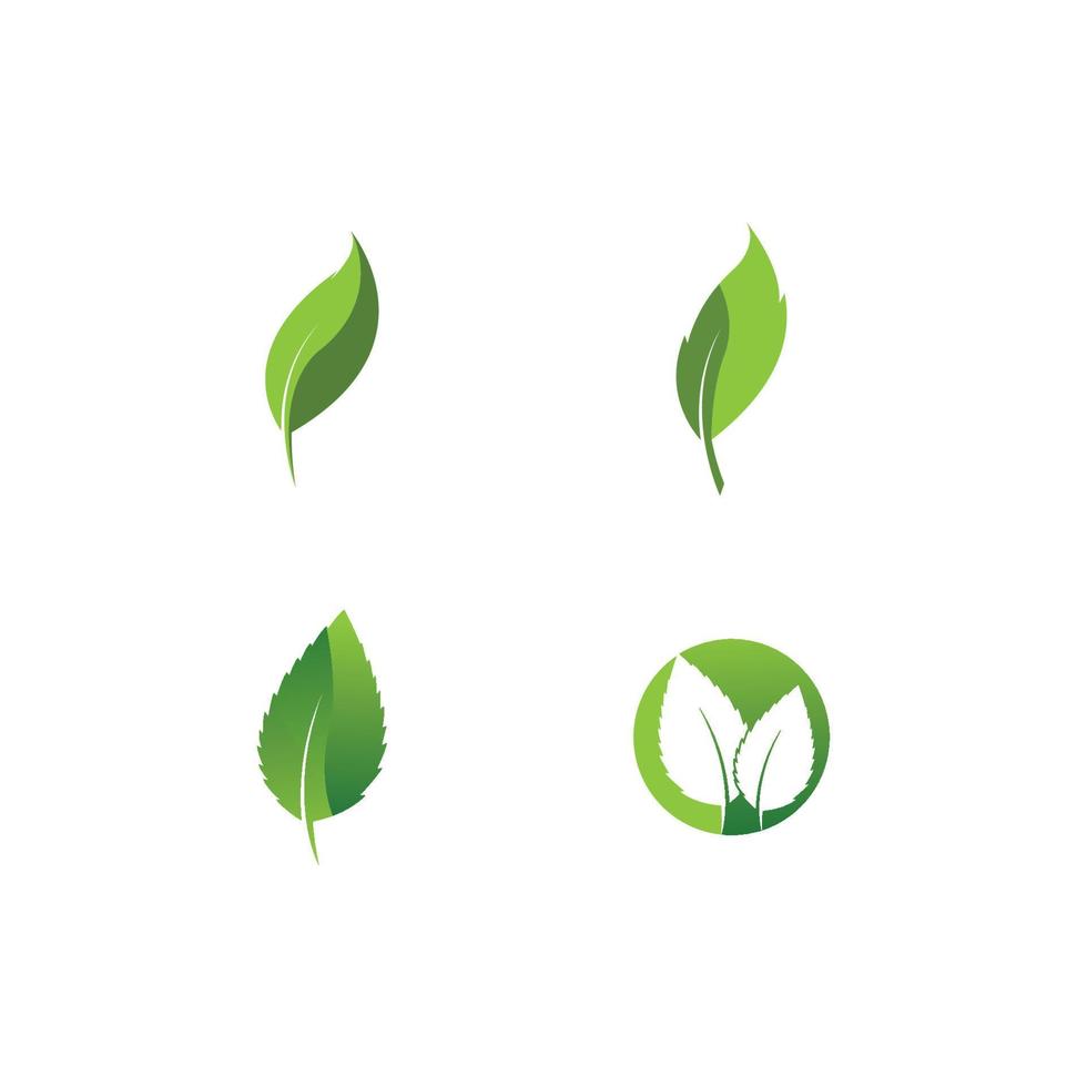 Eco icon green leaf vector illustration