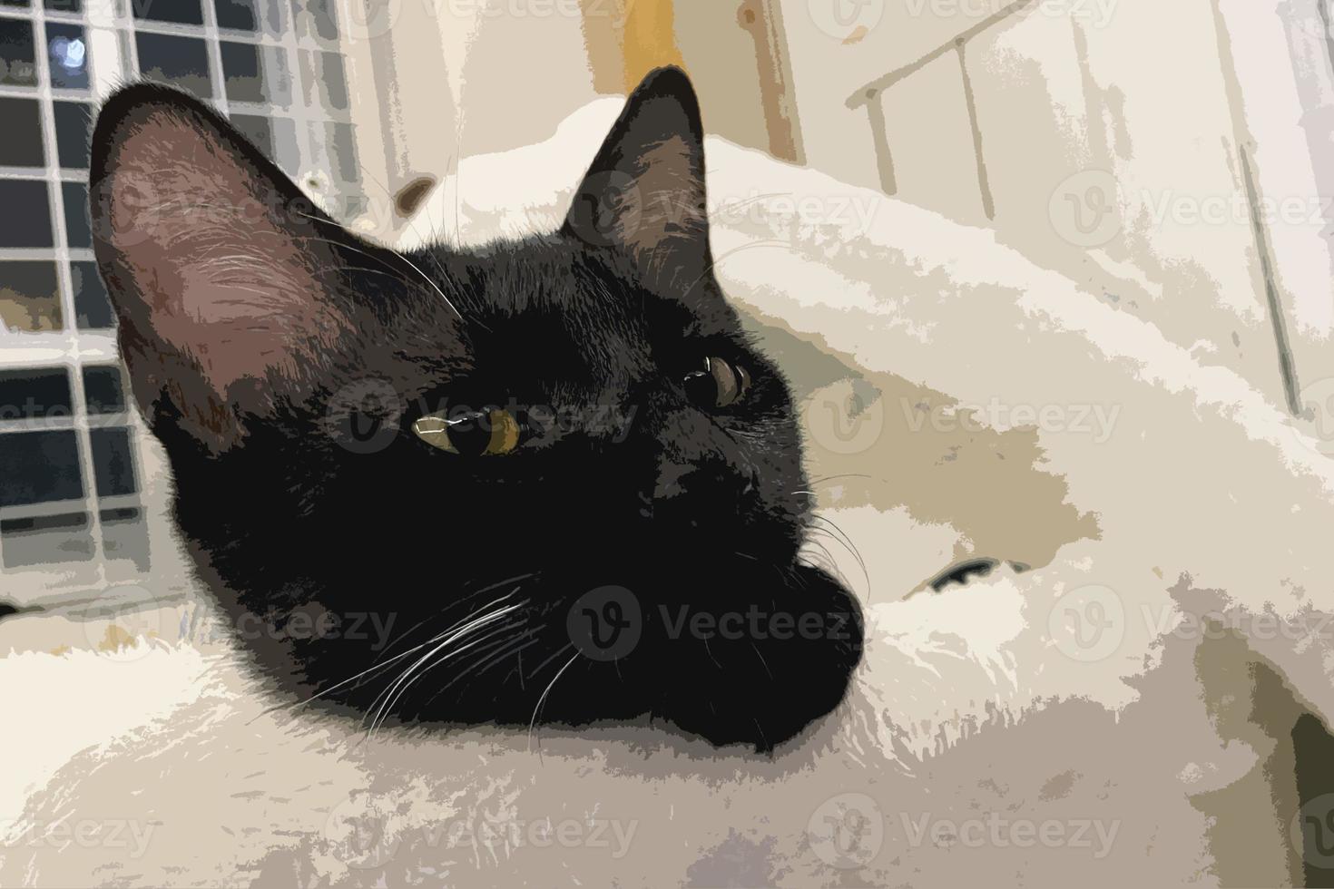 un gatito negro con ojos amarillos saliendo de la cama. bebé gato negro está sentado en la cama foto