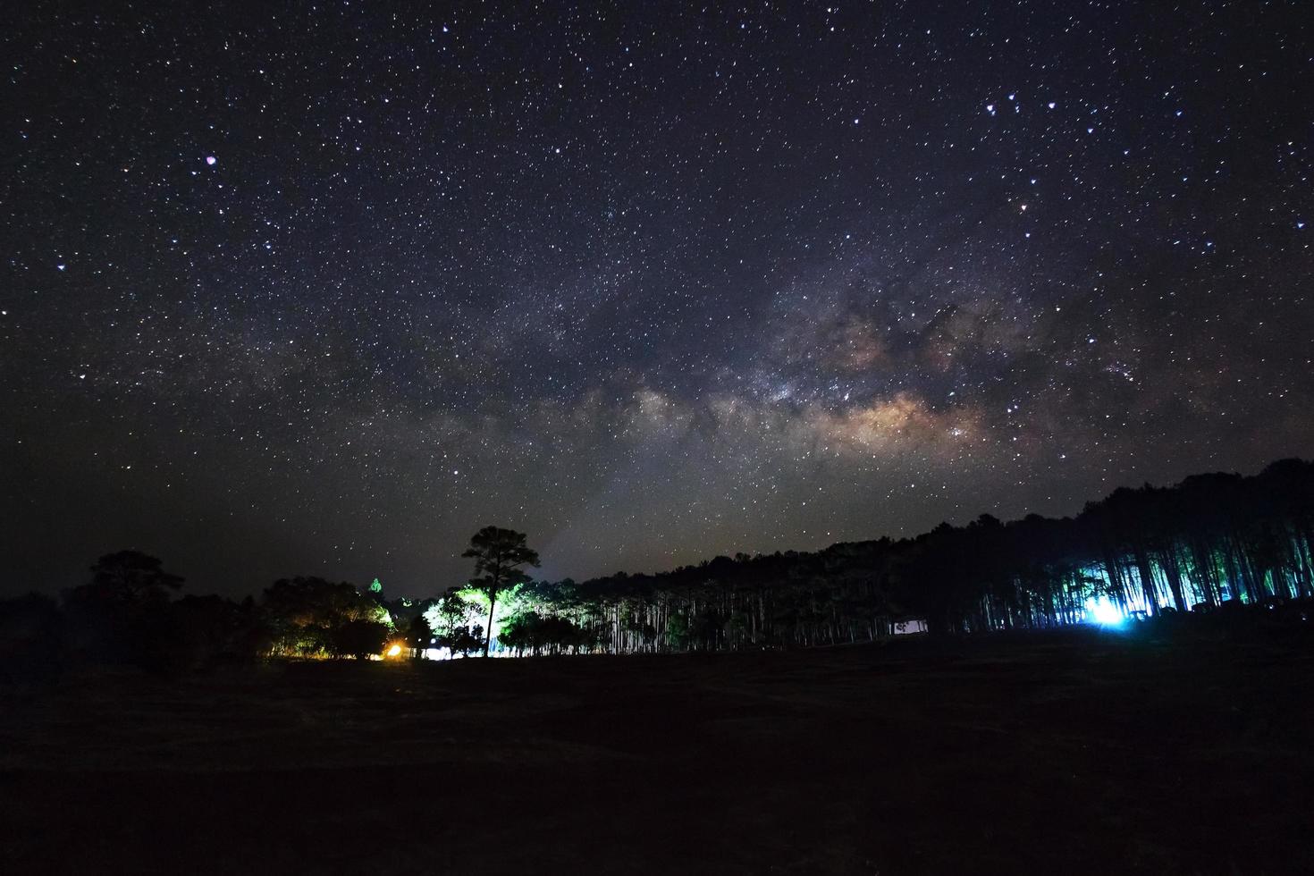 hermosa galaxia de la vía láctea en un cielo nocturno y silueta de árbol, fotografía de larga exposición.con grano foto