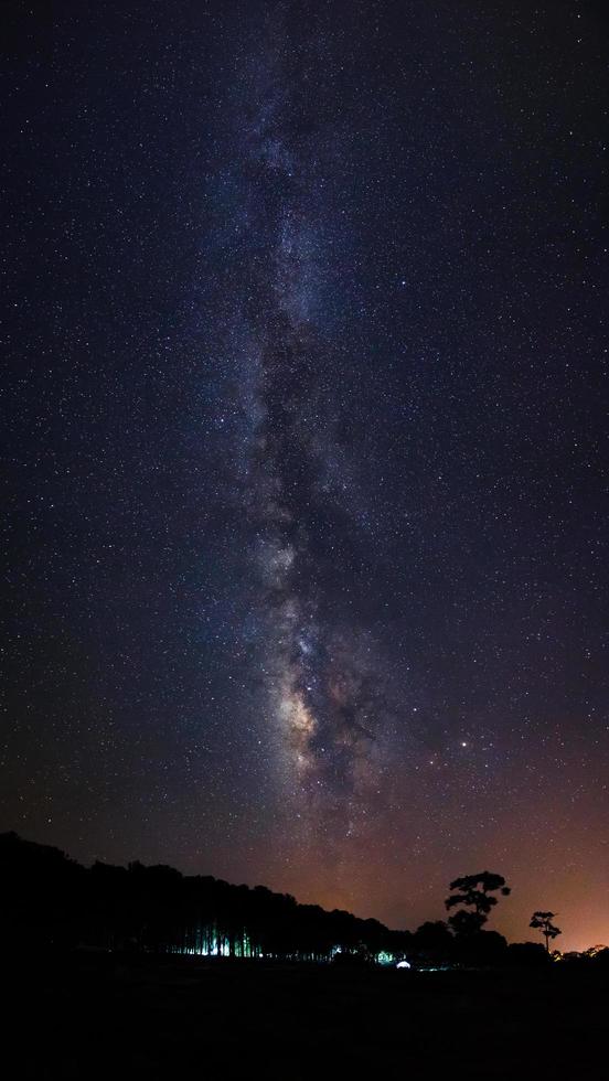 silueta de árbol y vía láctea en el parque nacional phu hin rong kla, phitsanulok tailandia. fotografía de larga exposición. con grano foto