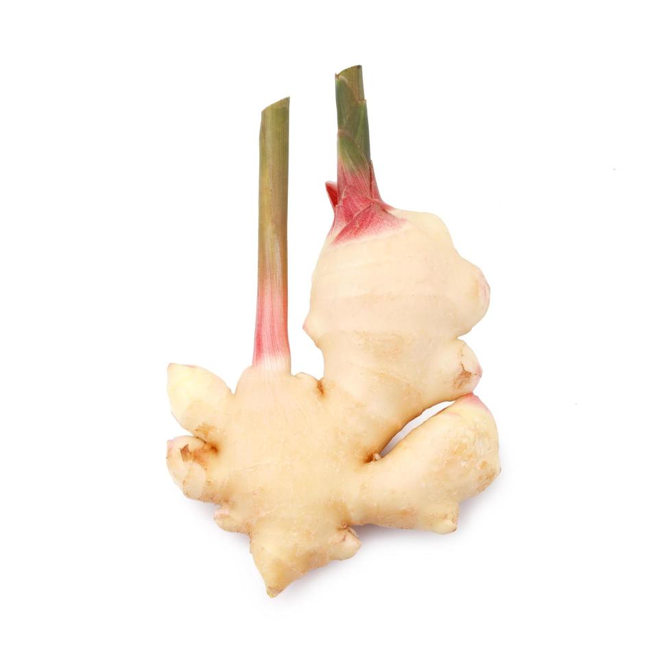 fresh ginger on white background photo