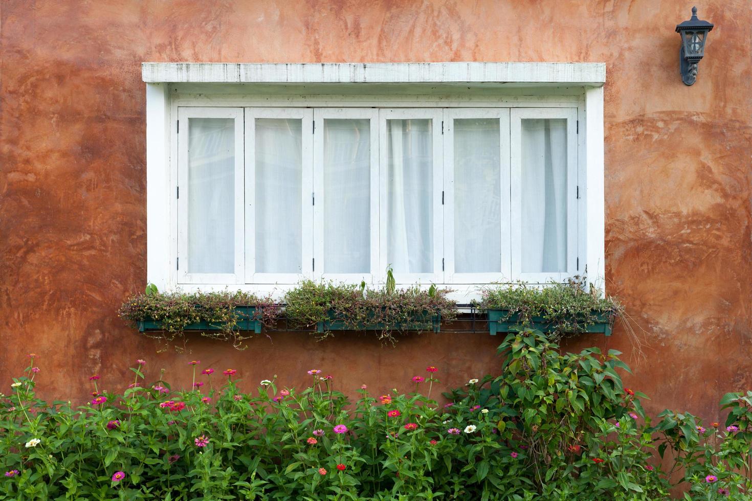 European style window photo