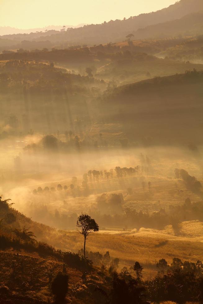 brumoso amanecer matutino en khao takhian ong punto de vista en khao-kho phetchabun, tailandia foto