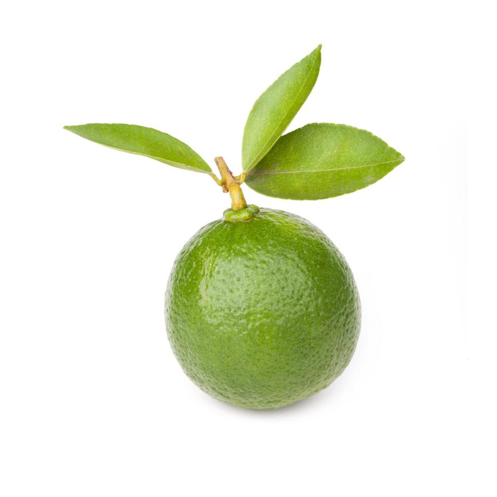 Citrus lime fruit isolated on white background photo