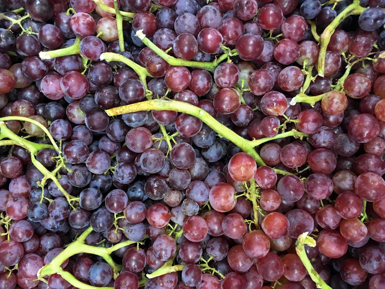 red grape background photo