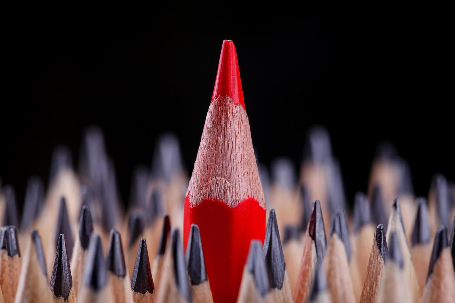 One sharpened red pencil among many ones photo
