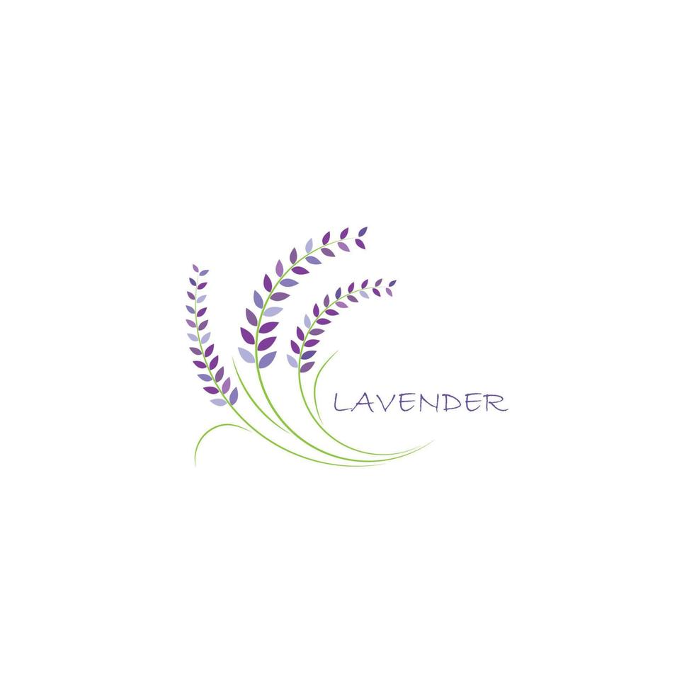 vector de logotipo de flor de lavanda fresca