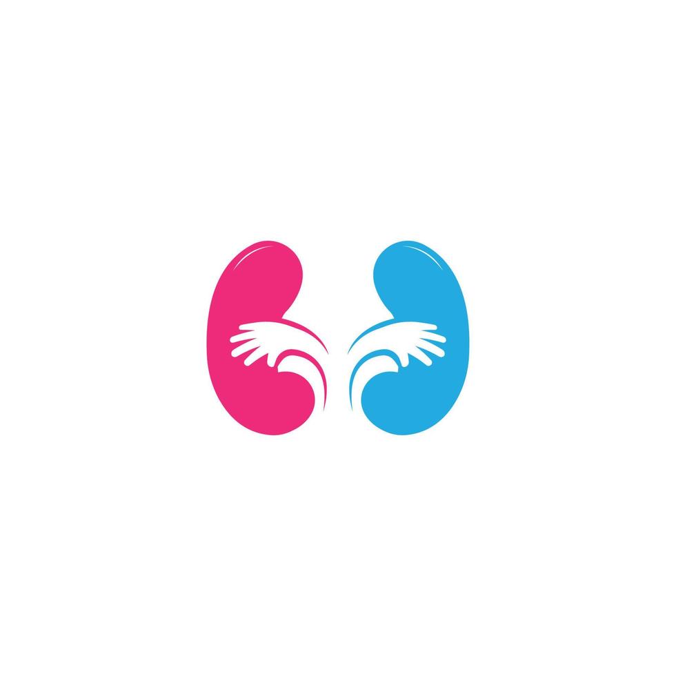 kidney logo vector