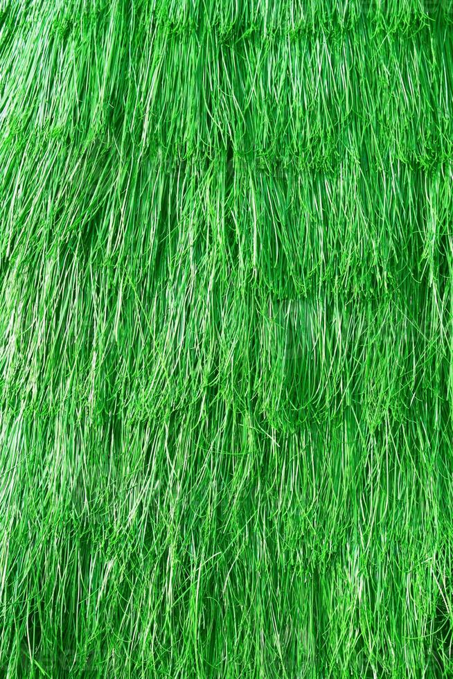 Green grass background texture photo