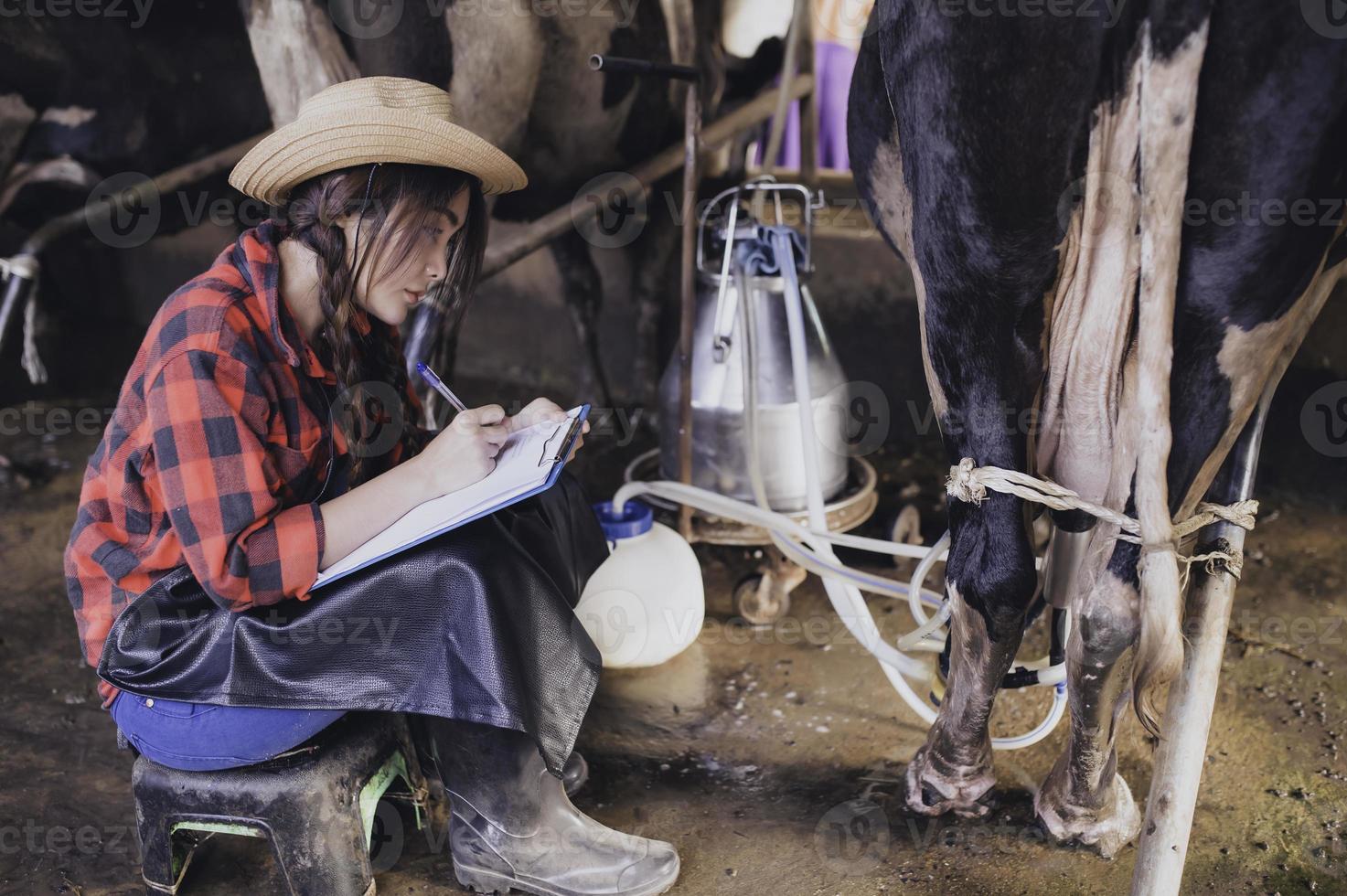 Asian farmer Work in a rural dairy farm outside the city,Young people with cow photo