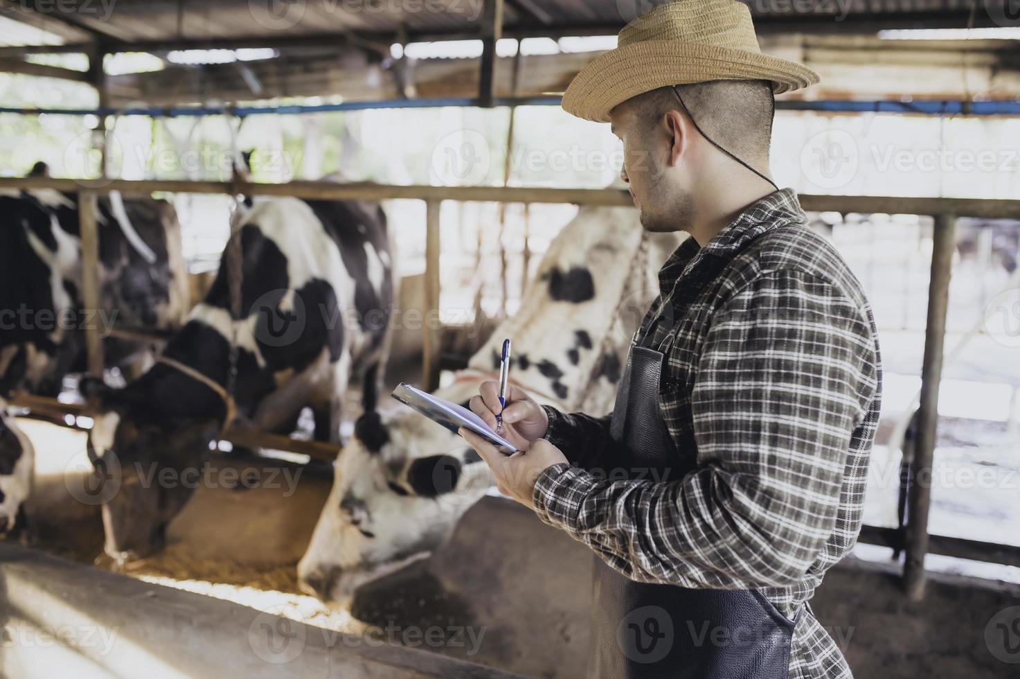 granjero asiático trabaja en una granja lechera rural fuera de la ciudad, jóvenes con vaca foto