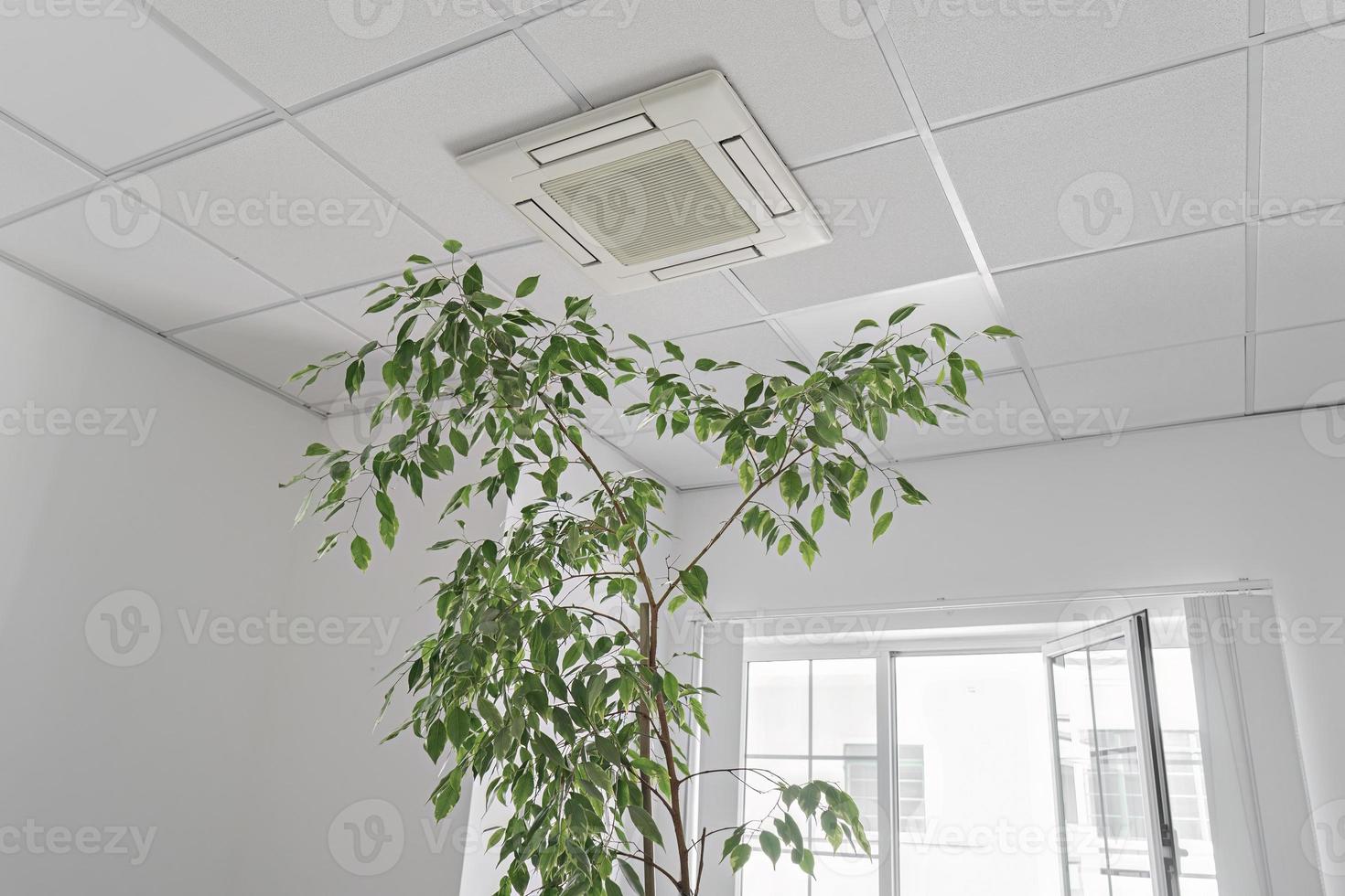 Low angle of assette Air Conditioner on ceiling in modern light office or apartment with green ficus plant leaves. Indoor air quality photo