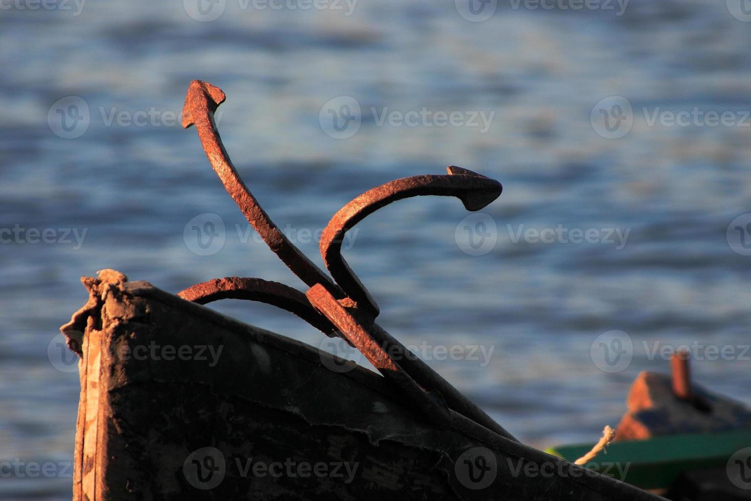 Anchor of life photo