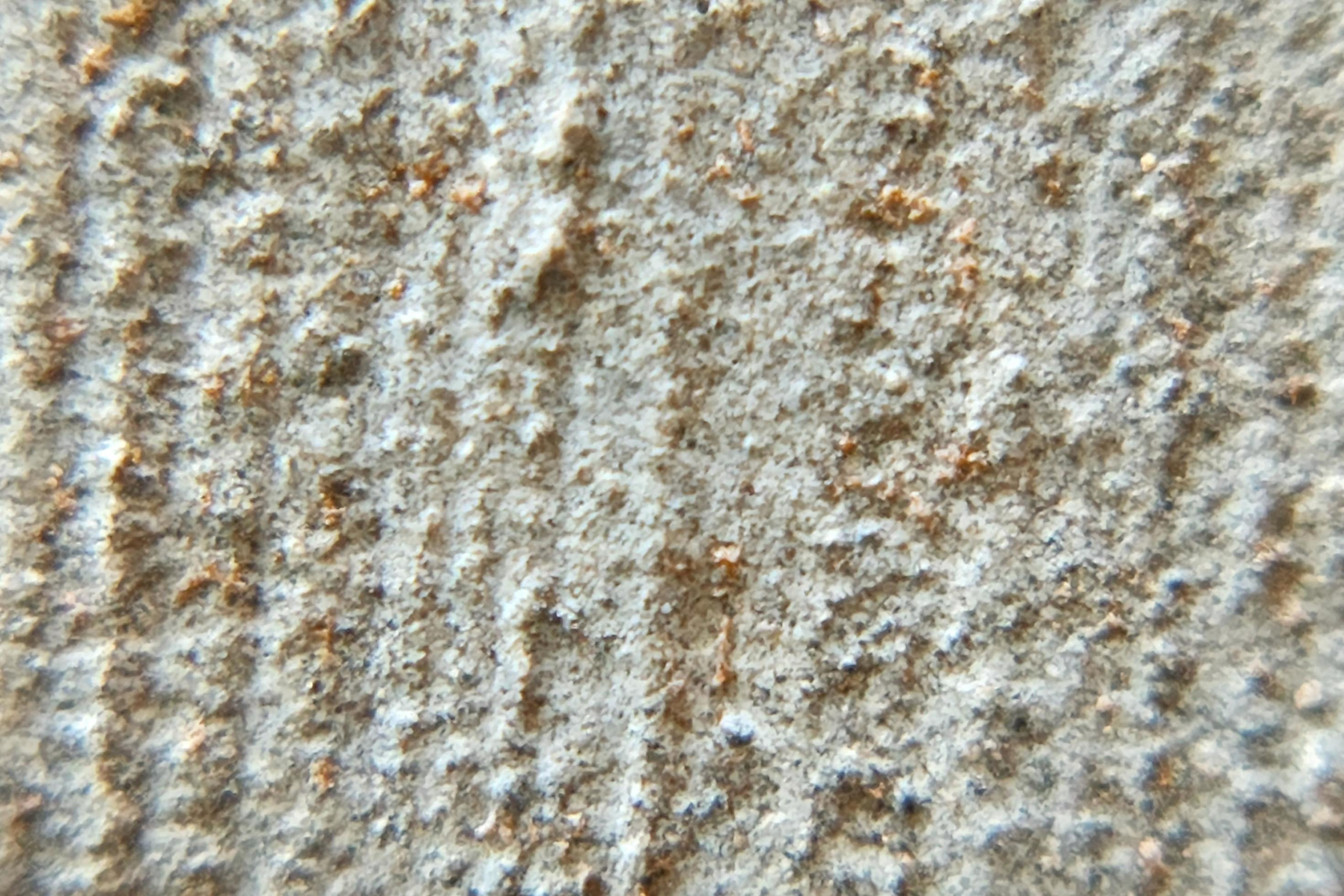 photo macro abstract object surface with natural rough texture photo macro abstract object surface with natural rough texture