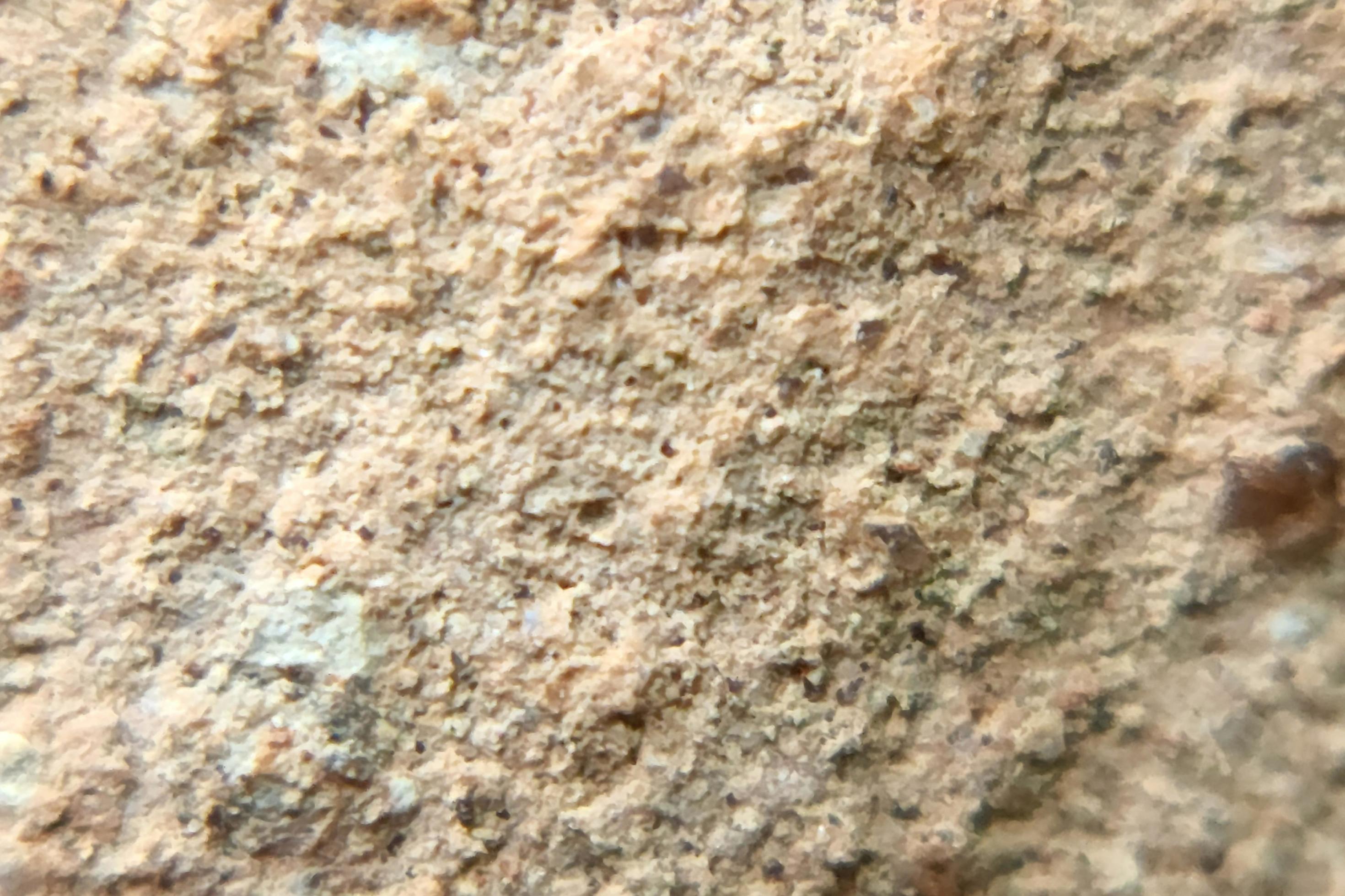 photo macro abstract object surface with natural rough texture photo macro abstract object surface with natural rough texture