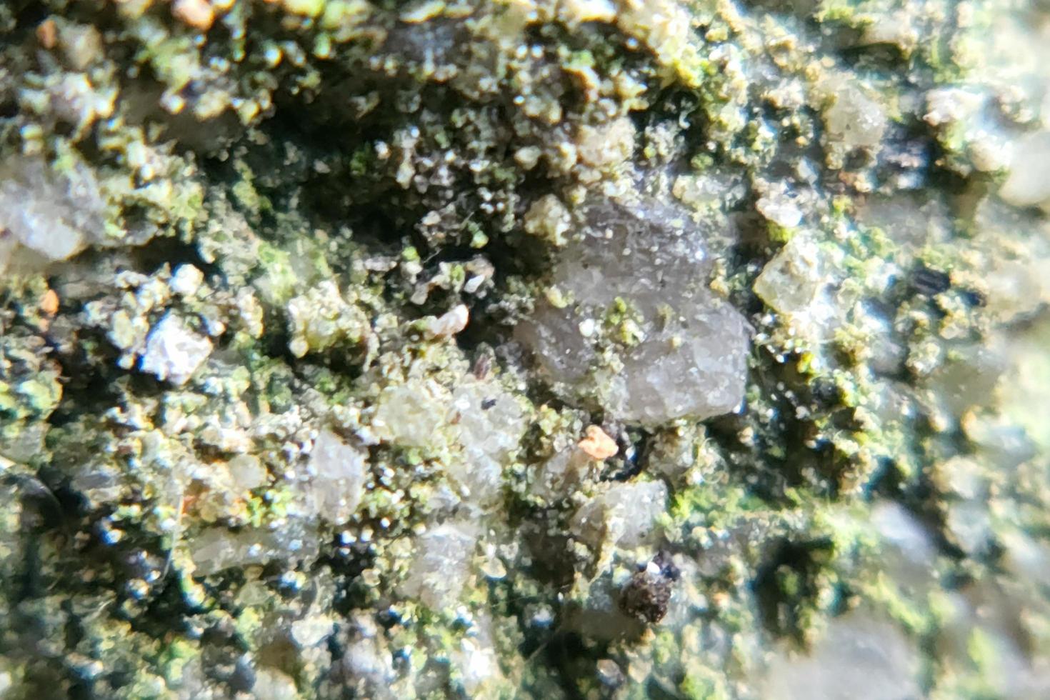 photo macro abstract object surface with natural rough texture background
