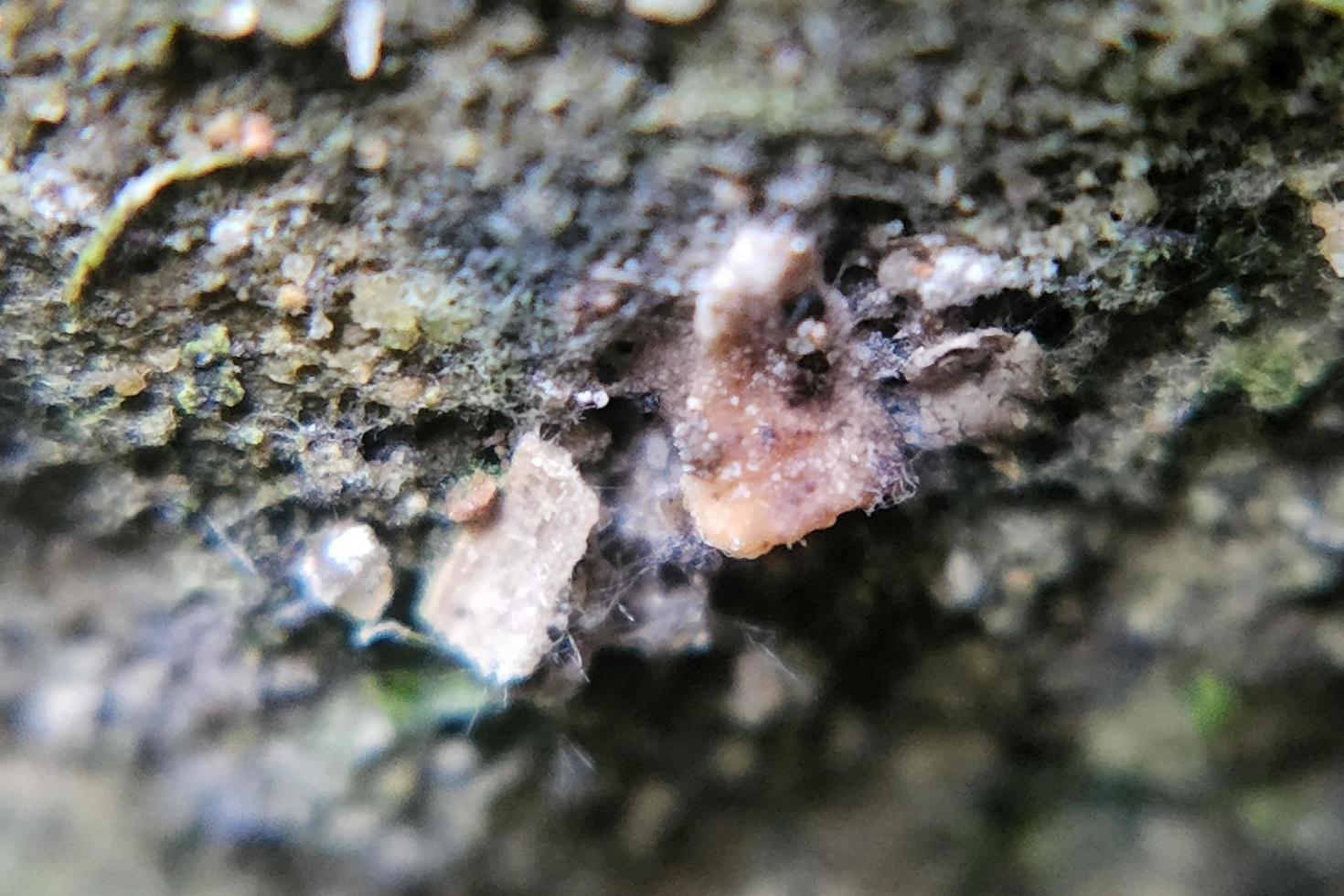 photo macro abstract object surface with natural rough texture background