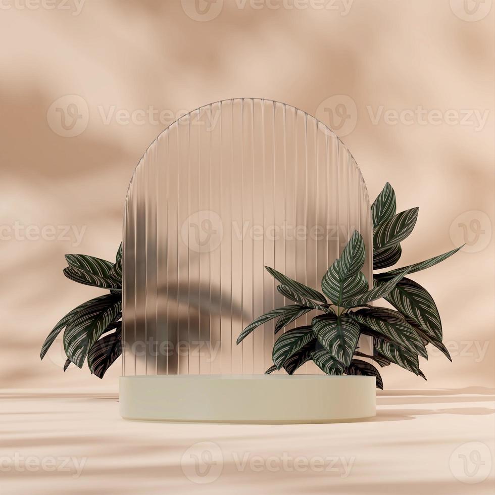 3D rendering mockup green podium in square with pink stripe calathea plant and blurred glass photo