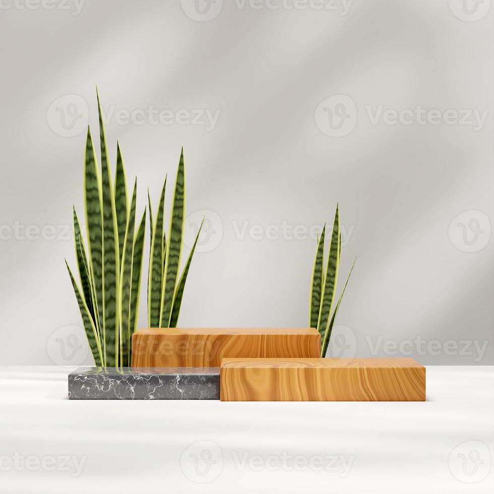 Wood and marble podium rendering 3d mockup in square with snake plant and shadow white wall photo