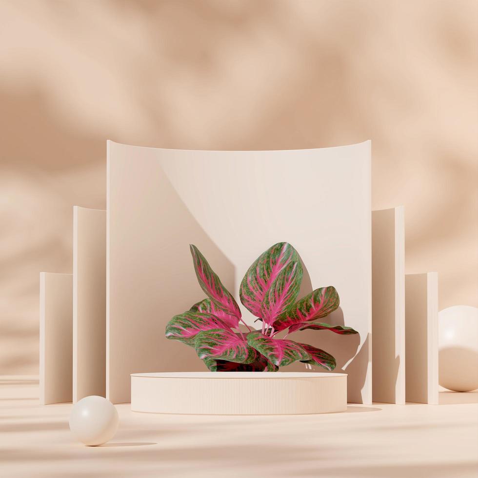 3D render mockup white podium in square with red chinese evergreen, curved backdrop and sphere photo