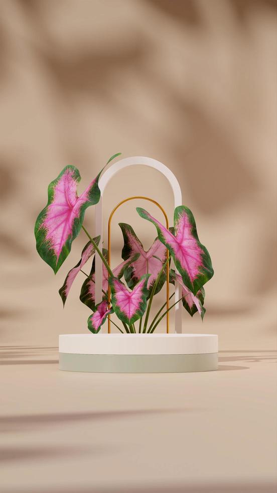 Plantilla de maqueta de renderizado 3d podio verde blanco en retrato con calathea de explosión rosa y arcos foto