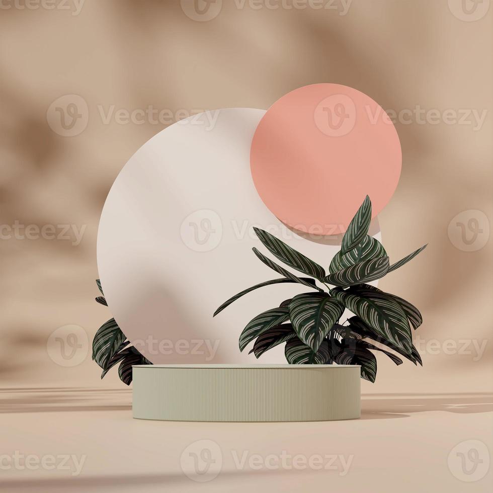 Plantilla de representación 3d podio verde en cuadrado con círculo rosa blanco y calathea de rayas rosas foto