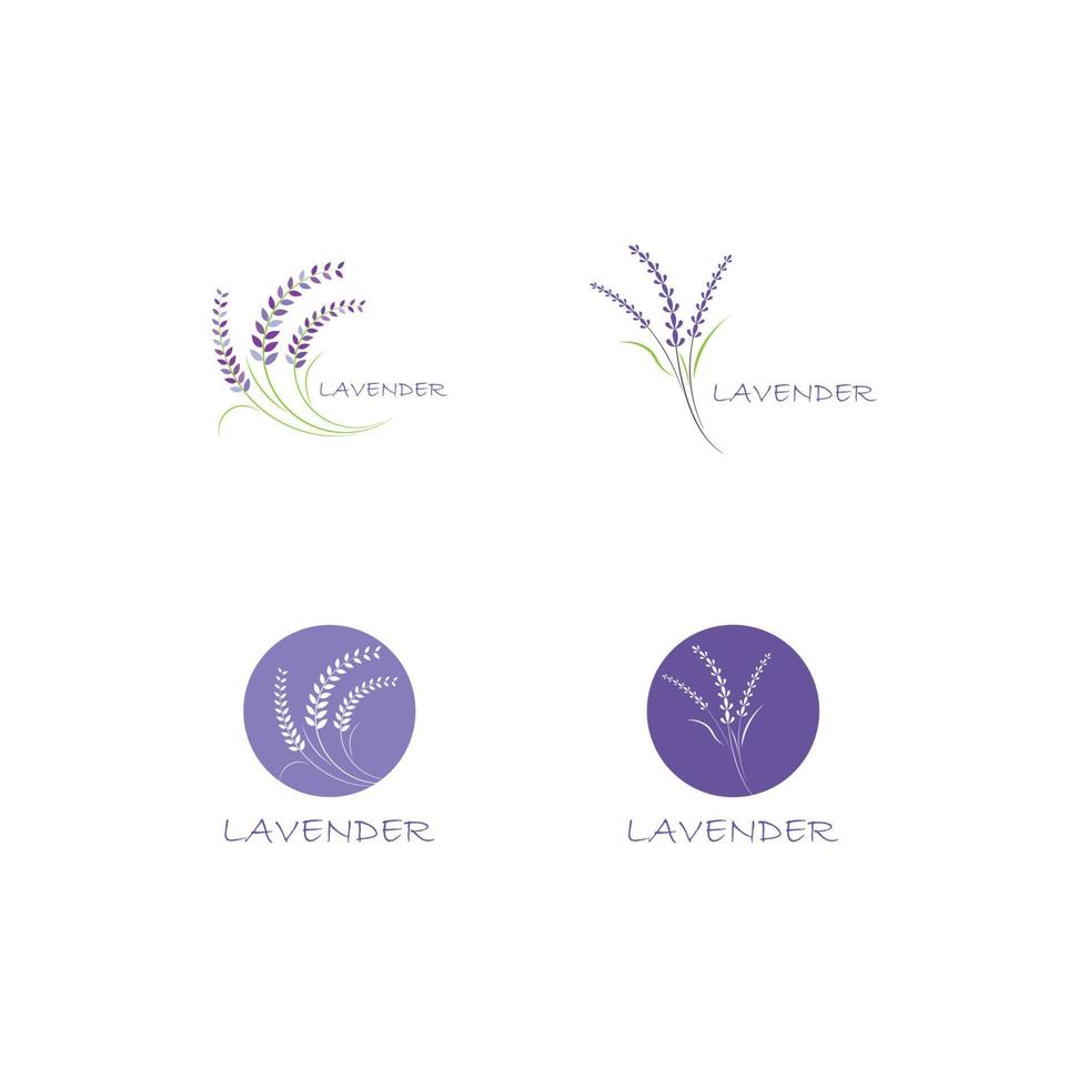 Fresh Lavender flower logo vector