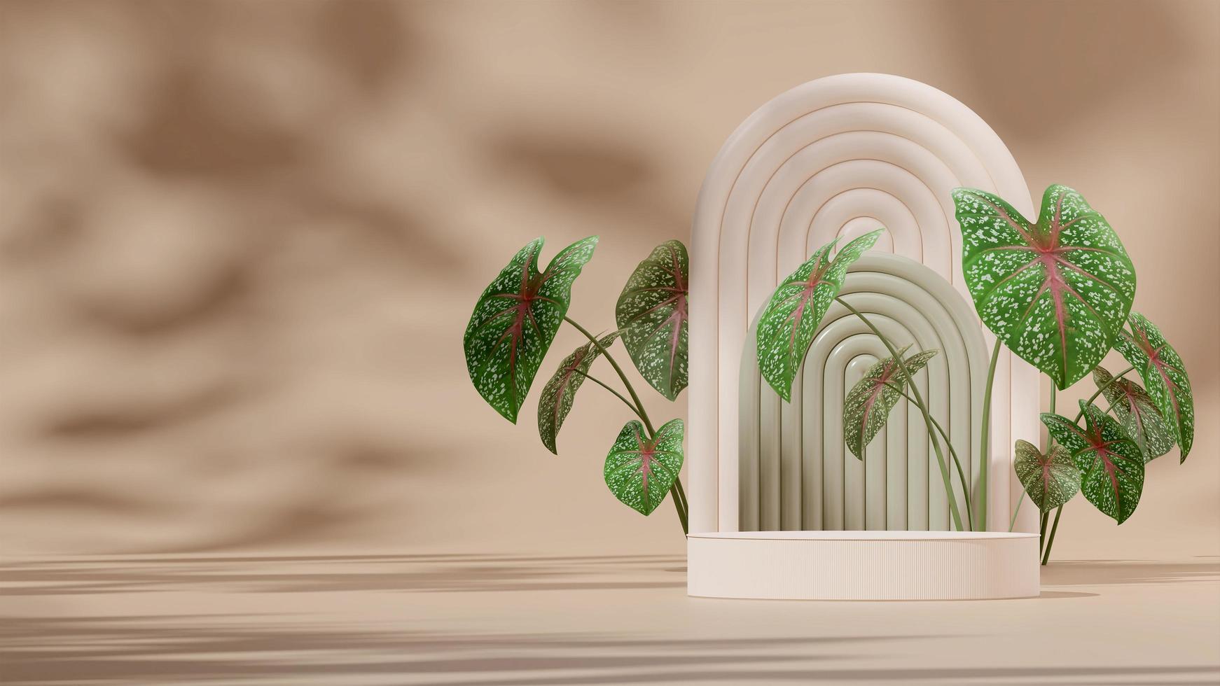 3D render template white podium in landscape with green arch backdrop and pink green calathea photo