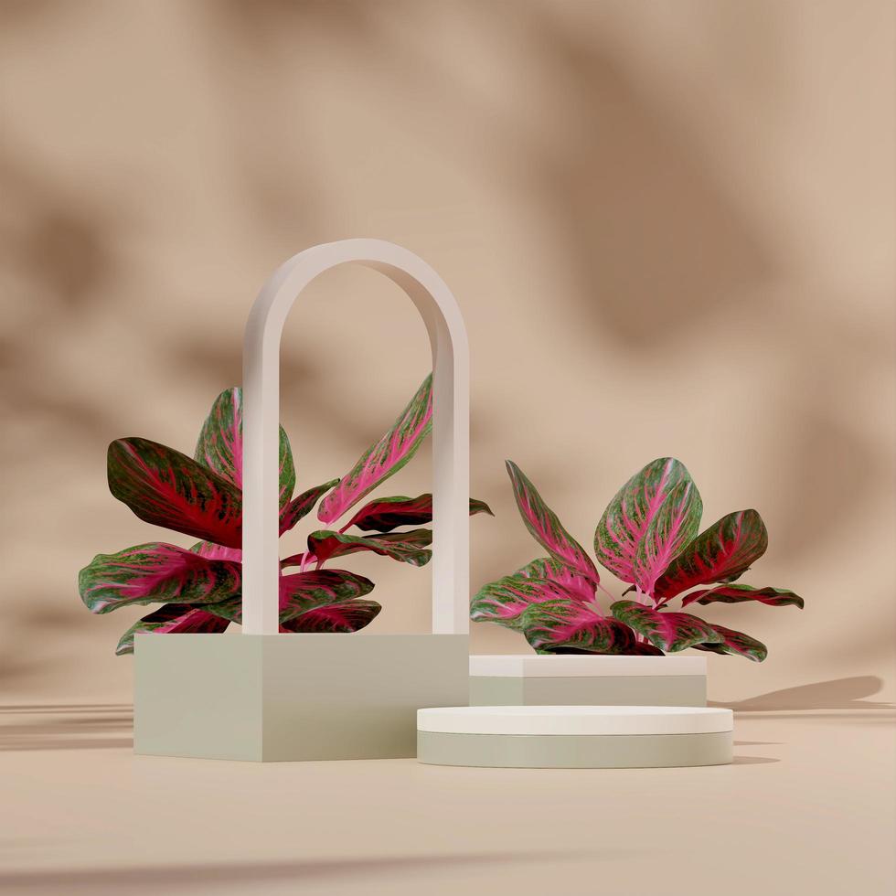 3D render mock up green and almond podium in square with arch decor and red chinese evergreen photo