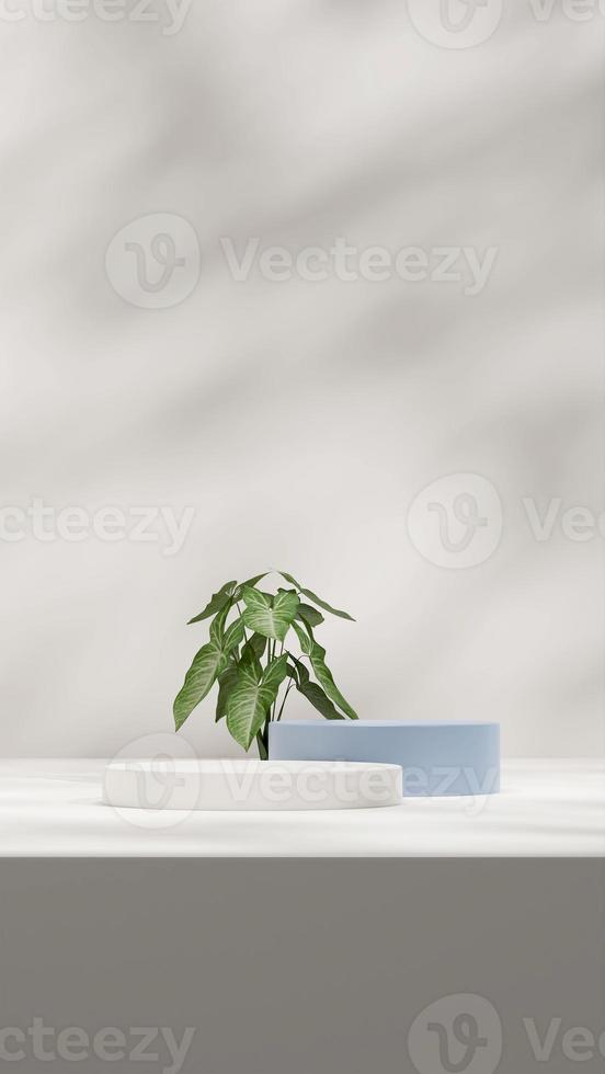 3d rendering mockup template with blue and white podium in portrait with syngonium plant and shadow photo