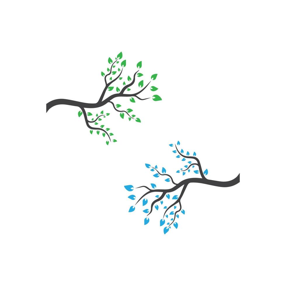 rama vectorial, ilustración dibujada a mano de la plantilla de diseño de rama de árbol vector