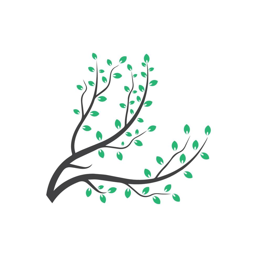 Vector branch , Hand drawn illustration of tree branch design template