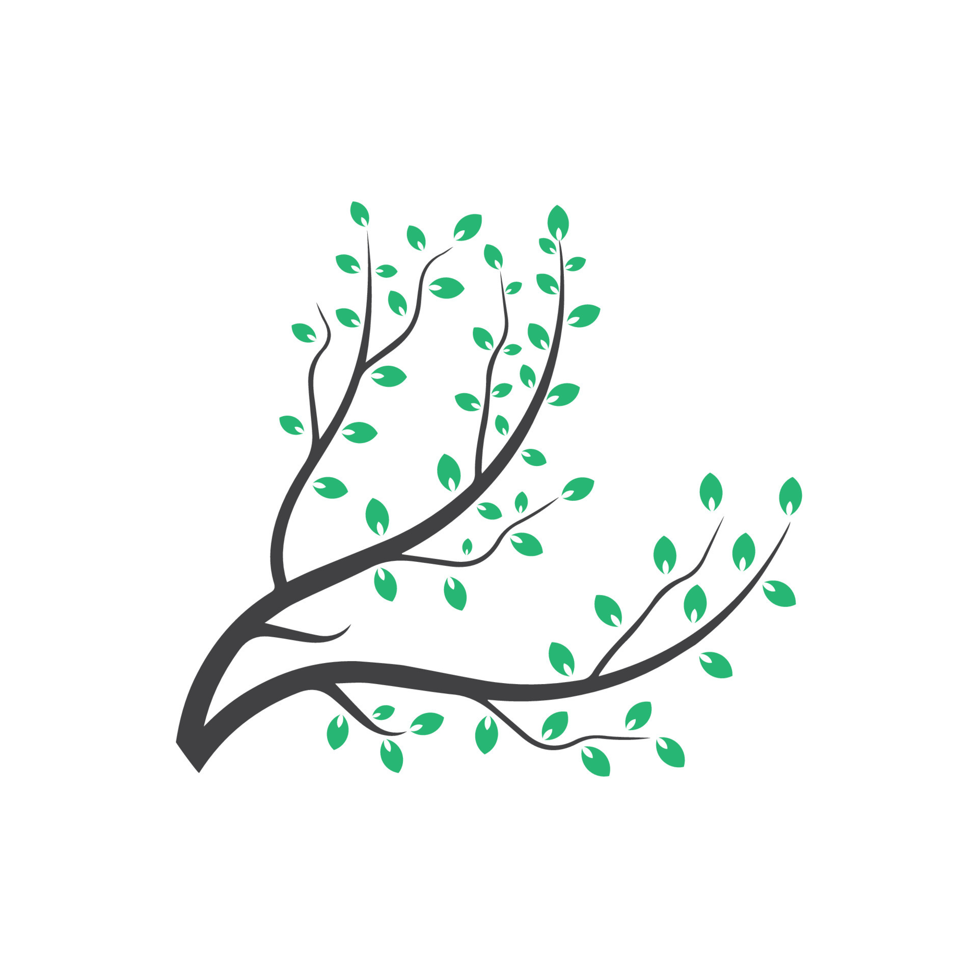 Vector branch , Hand drawn illustration of tree branch design template 10454638 Vector Art at