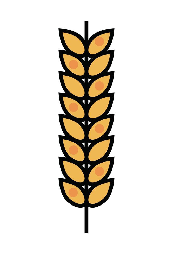 golden ear barley vector