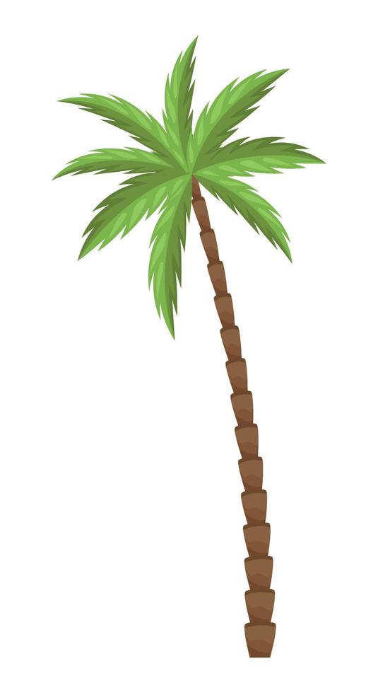 tropical tree palm vector