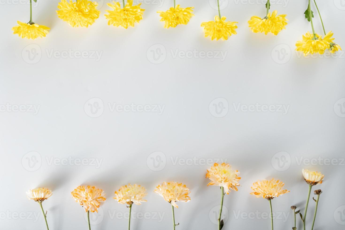 chrysanthemum and cutter flowers composition. Pattern and Frame made of various yellow or orange flowers and green leaves on white background. Flat lay, top view, copy space, spring, summer concept. photo