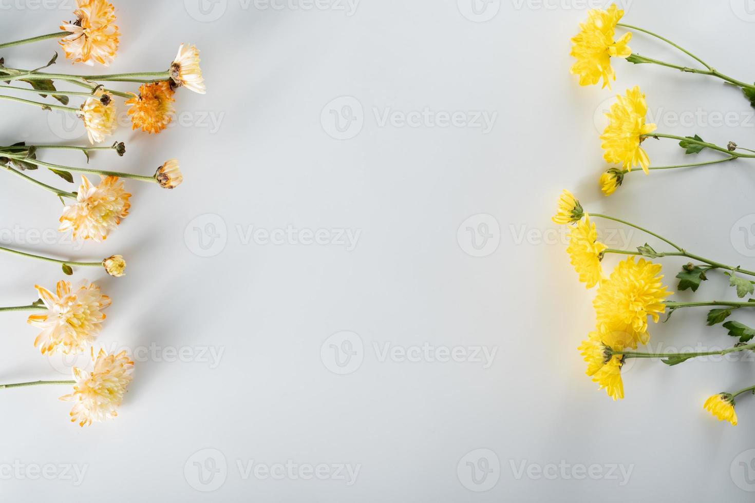 composición de flores de crisantemo y cortador. patrón y marco de varias flores amarillas o naranjas y hojas verdes sobre fondo blanco. plano, vista superior, espacio de copia, primavera, concepto de verano. foto