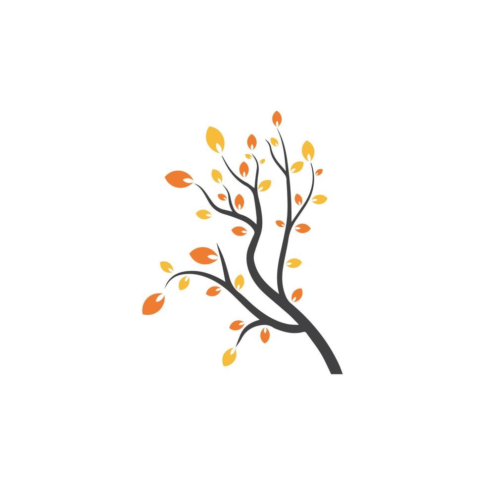 Vector branch , Hand drawn illustration of tree branch design template